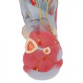 M34-1_05_Foot-Skeleton-Model-with-Ligaments-and-Muscles