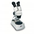 W30666-230_01_Stereo-Microscope-40x-Transmitted-Light-Illumination-LED-230-V-5060-Hz